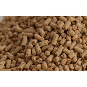 Aliment croissance chair